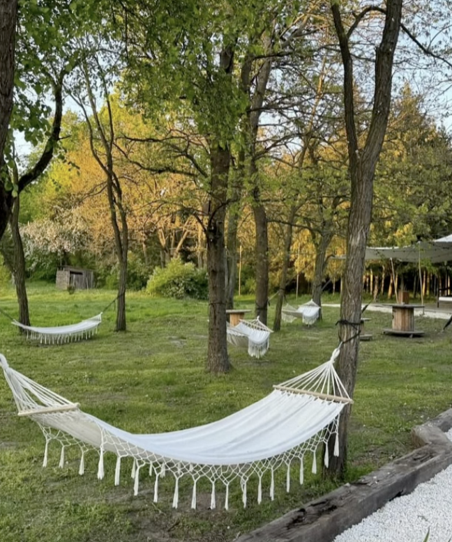 Strategia Skutecznej Realizacji Celów - Warsztat